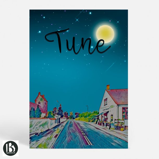 Tune (4030) - Kunstnerisk - by Night