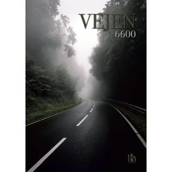 Vejen (6600) - Kunstnerisk - The Road