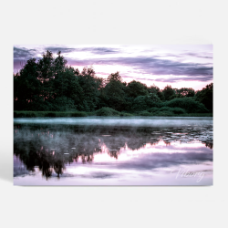 Viborg (8800) - Kunstnerisk - Rendyrket ZEN