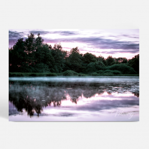 Viborg (8800) - Kunstnerisk - Rendyrket ZEN