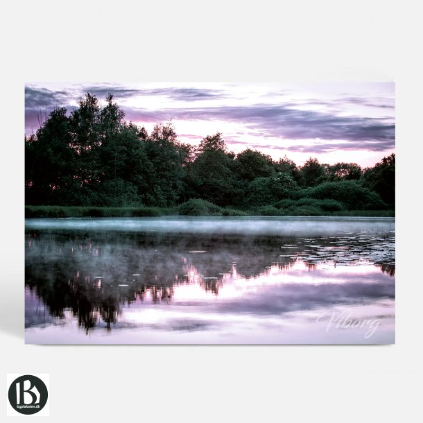 Viborg (8800) - Kunstnerisk - Rendyrket ZEN