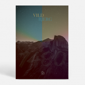 Vildbjerg (7480) - Kunstnerisk - High Wild