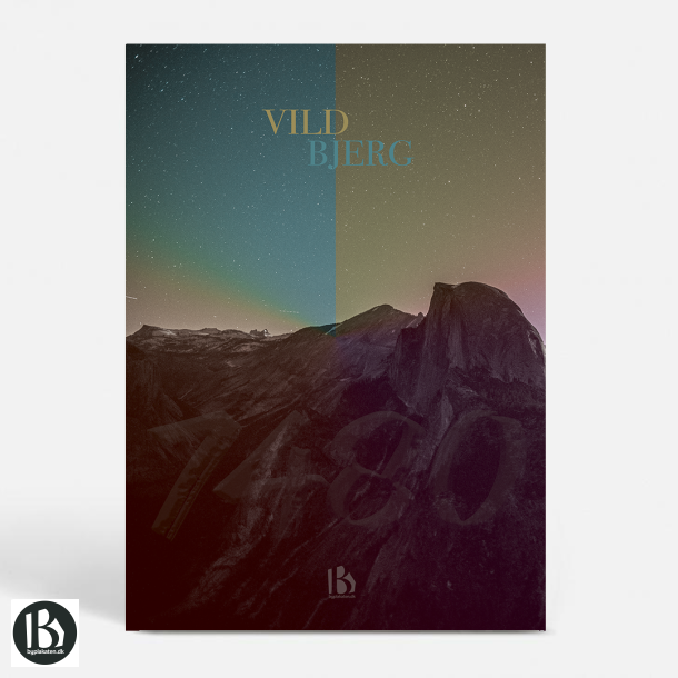 Vildbjerg (7480) - Kunstnerisk - High Wild
