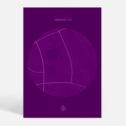 Vollsmose (5240) - CITYC - Deep Purple