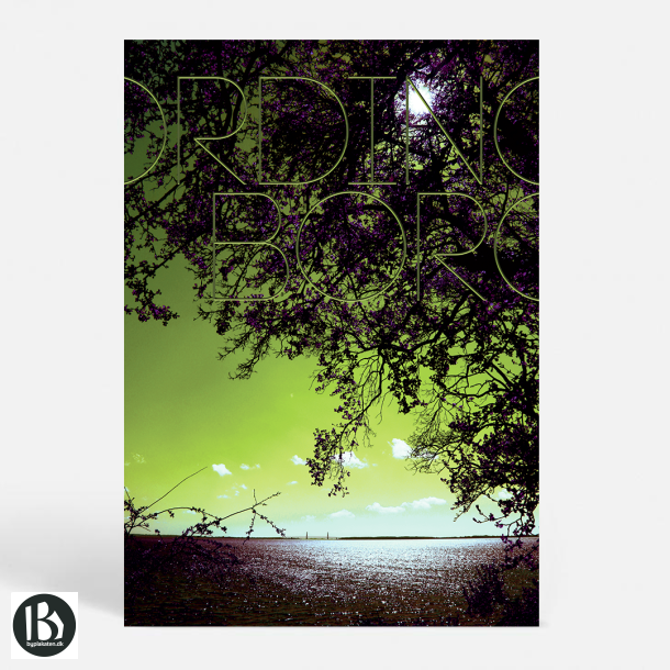 Vordingborg (4760) - Kunstnerisk - Oringepynten