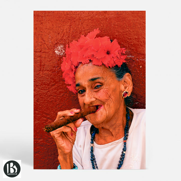 Den rde Cubaner - Kunstnerisk