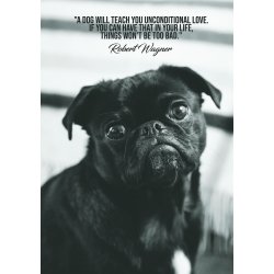 Unconditional Love - Dyremotiver