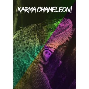 Karma Chameleon - Dyremotiver
