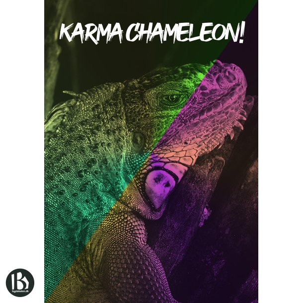 Karma Chameleon - Dyremotiver