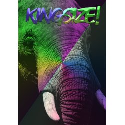 KINGSIZE! - Dyremotiver