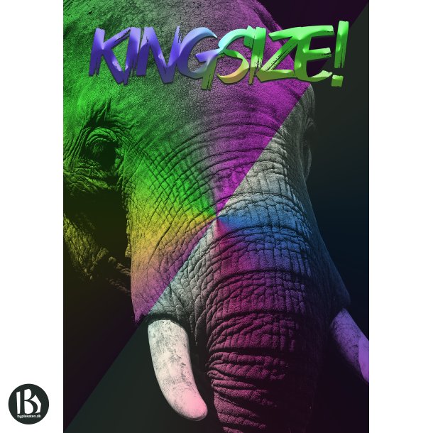 KINGSIZE! - Dyremotiver