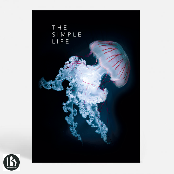 The Simple Life - Livsstil