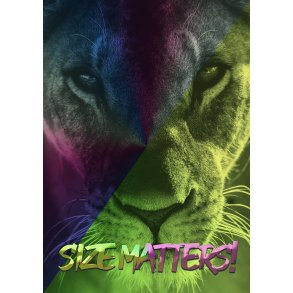 Size Matters! - Dyremotiver