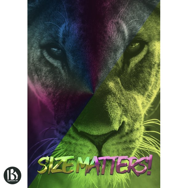 Size Matters! - Dyremotiver