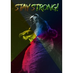 Stay Strong! - Dyremotiver