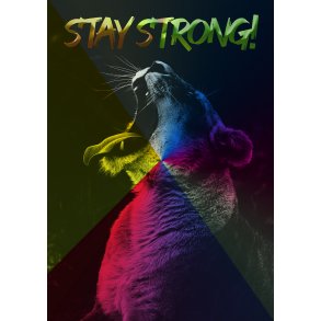 Stay Strong! - Dyremotiver