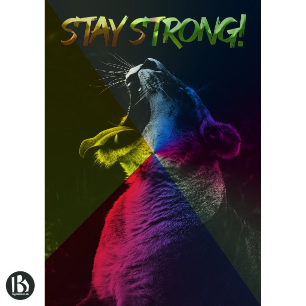 Stay Strong! - Dyremotiver