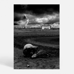 Vanlse (2720) - Kunstnerisk - Helt trlagt