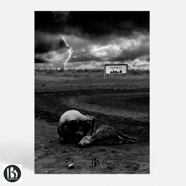 Vanlse (2720) - Kunstnerisk - Helt trlagt