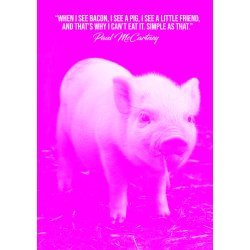 A Little Friend - Livsstil