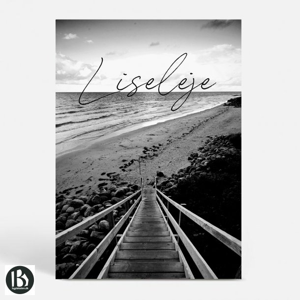 Liseleje (3360) - Kunstnerisk - The Beach