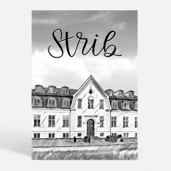 Strib (5500) - Kunstnerisk - In Grey