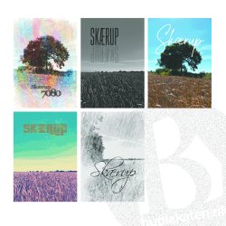 Skrup (7080) - Kunstnerisk - Walk of Life (MONO)